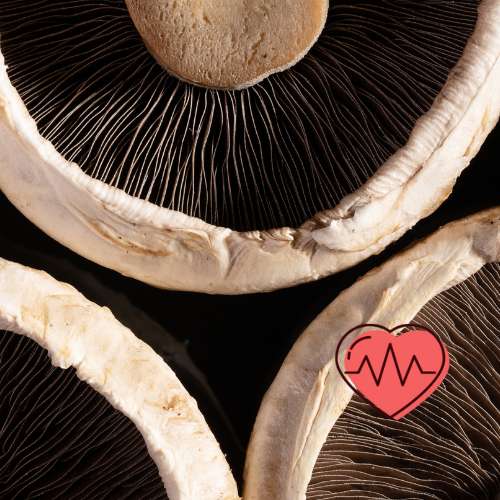 Hongo Portobello Salud Actual